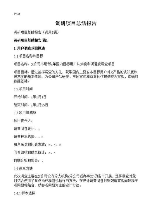 调研项目总结报告