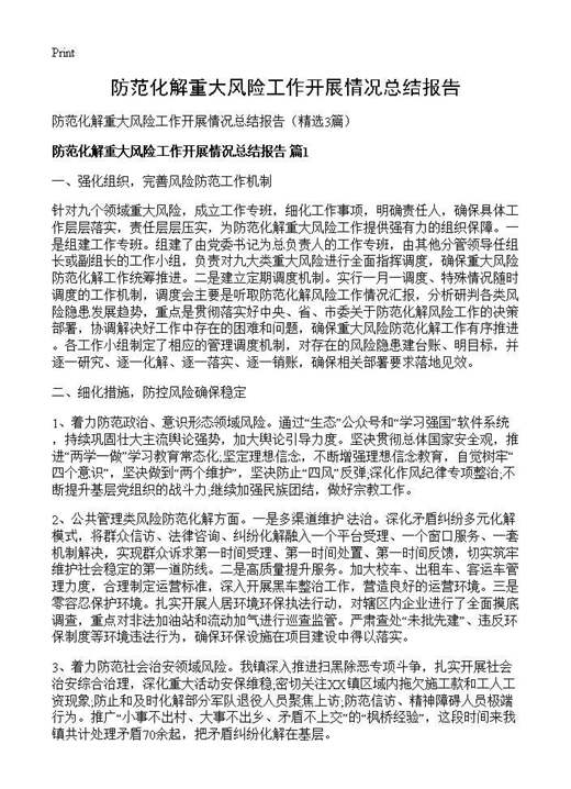 防范化解重大风险工作开展情况总结报告