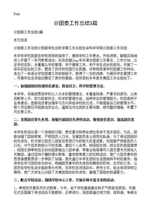 分团委工作总结