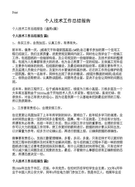 个人技术工作总结报告
