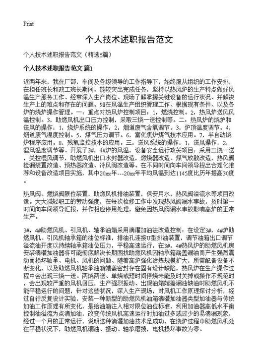 个人技术述职报告范文