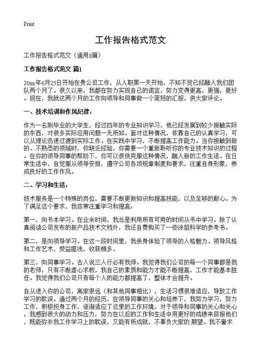 工作报告格式范文