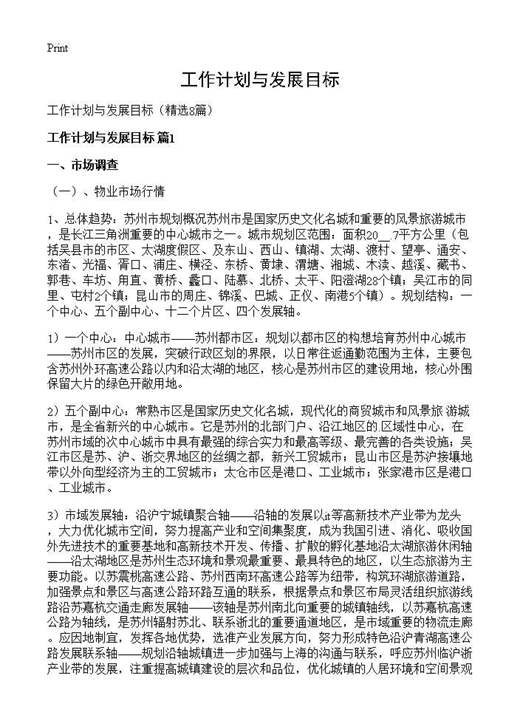 工作计划与发展目标