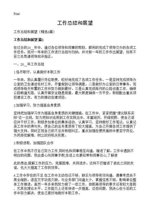 工作总结和展望