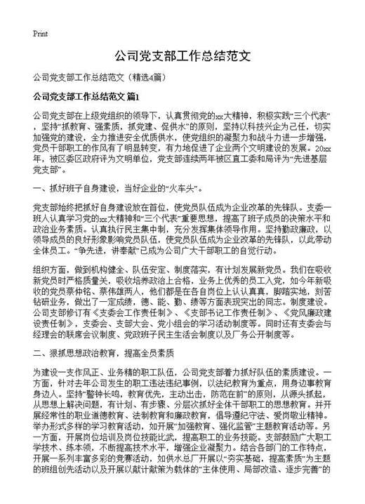 公司党支部工作总结范文