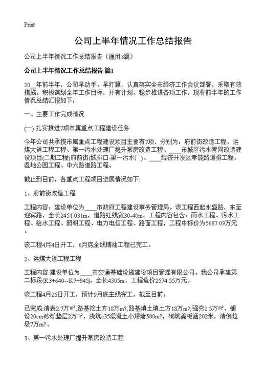 公司上半年情况工作总结报告