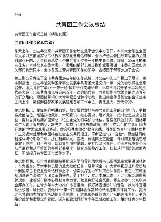共青团工作会议总结