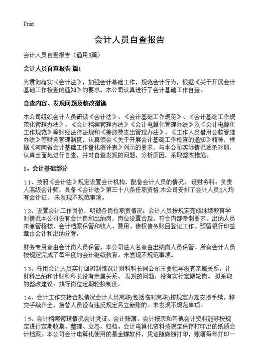 会计人员自查报告