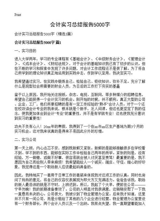 会计实习总结报告5000字