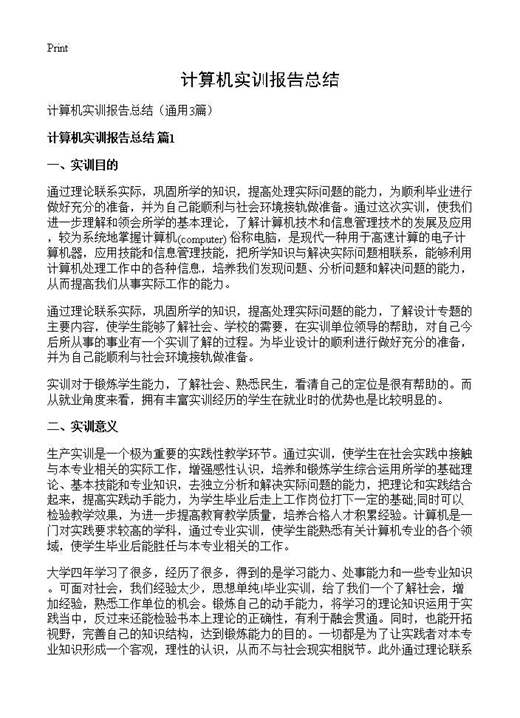 计算机实训报告总结