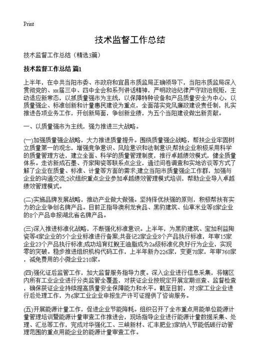 技术监督工作总结