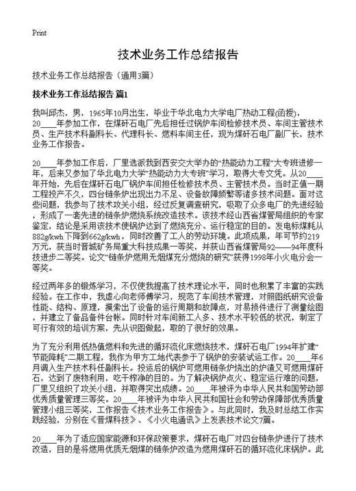 技术业务工作总结报告