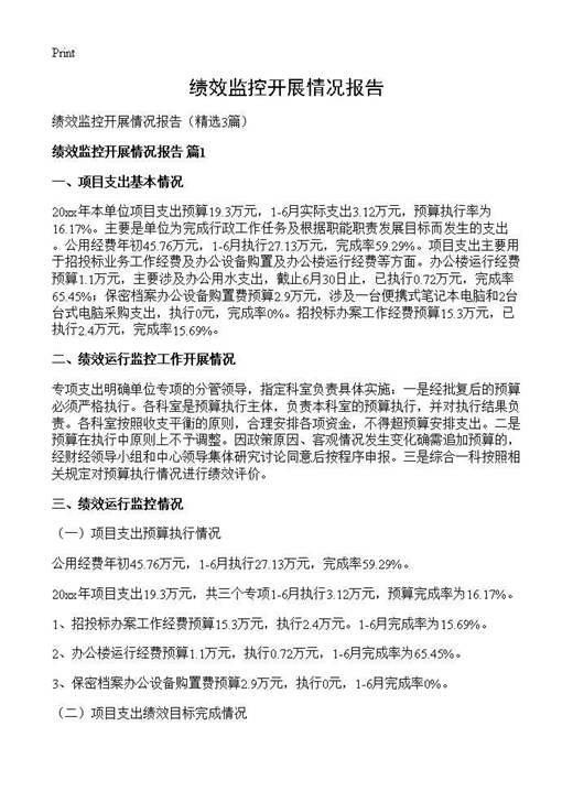 绩效监控开展情况报告