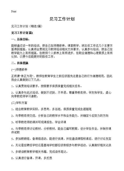 见习工作计划