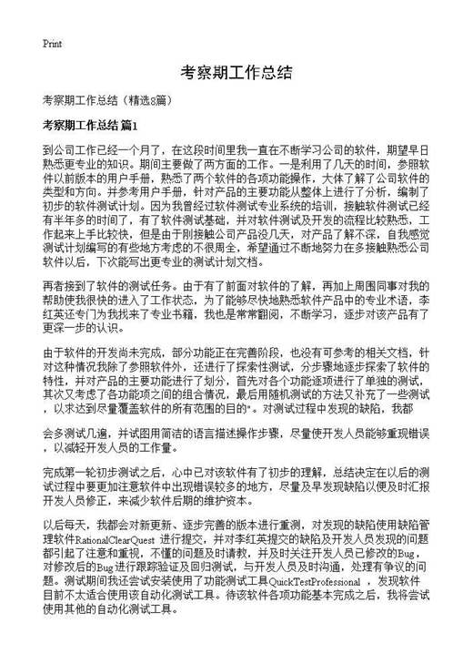 考察期工作总结