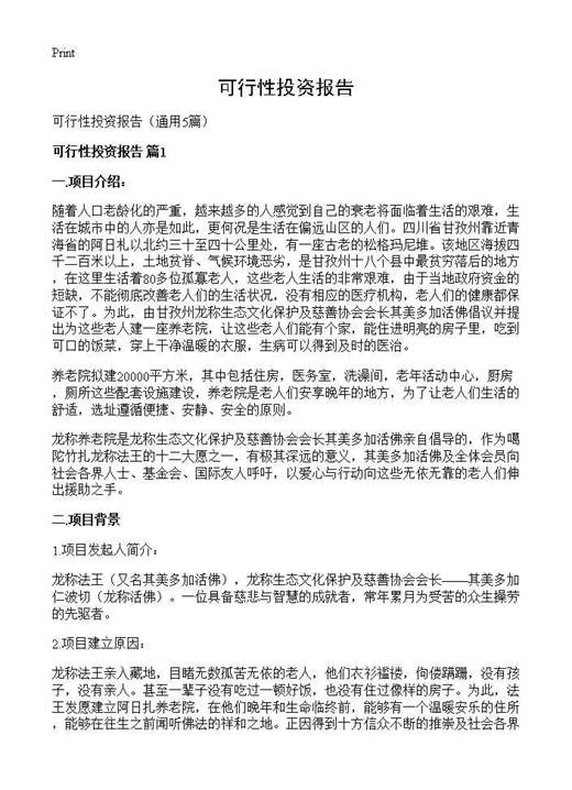 可行性投资报告