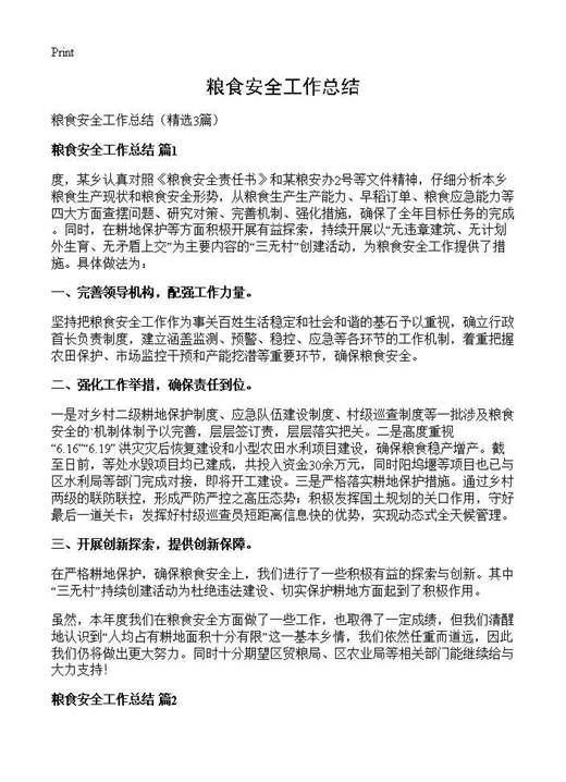 粮食安全工作总结