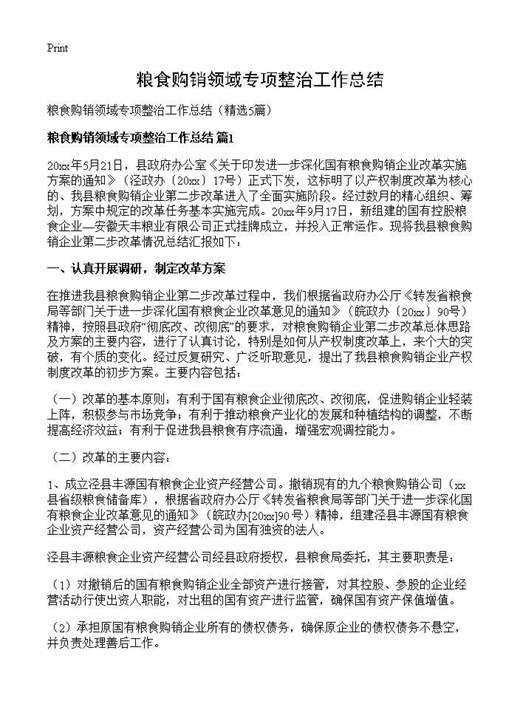 粮食购销领域专项整治工作总结