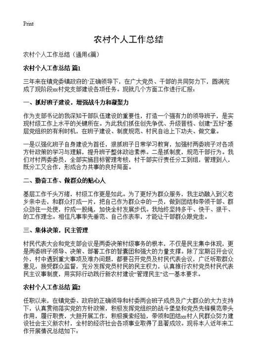 农村个人工作总结